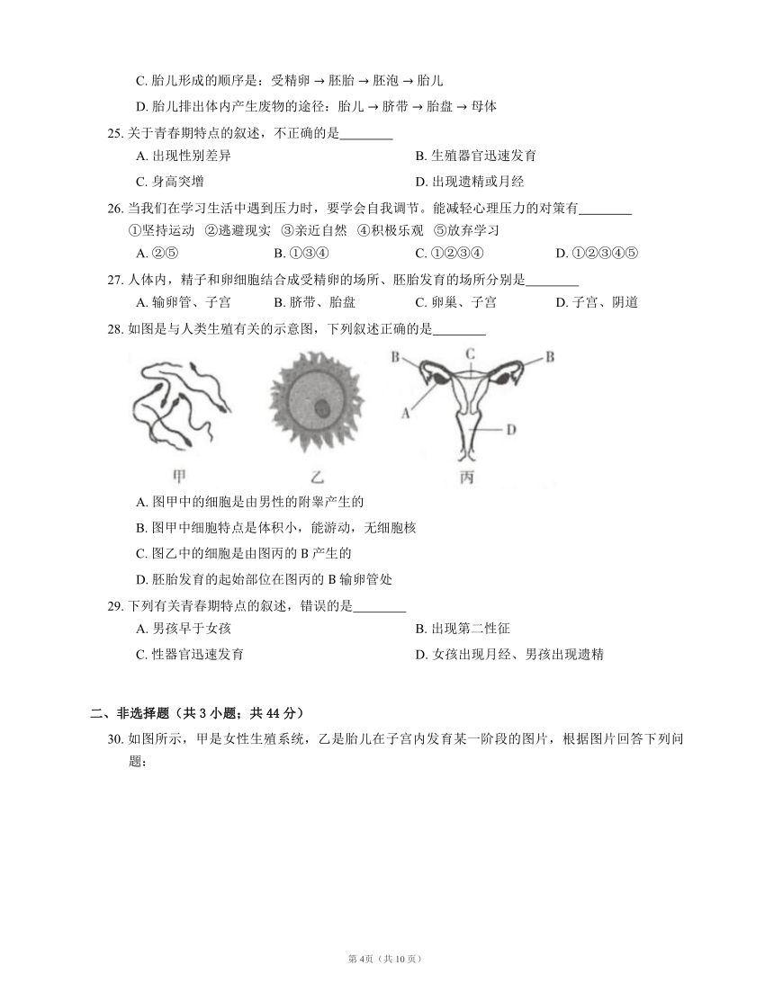 人教版七下生物第4单元 第1章 人的由来 检测题（word版含答案解析）