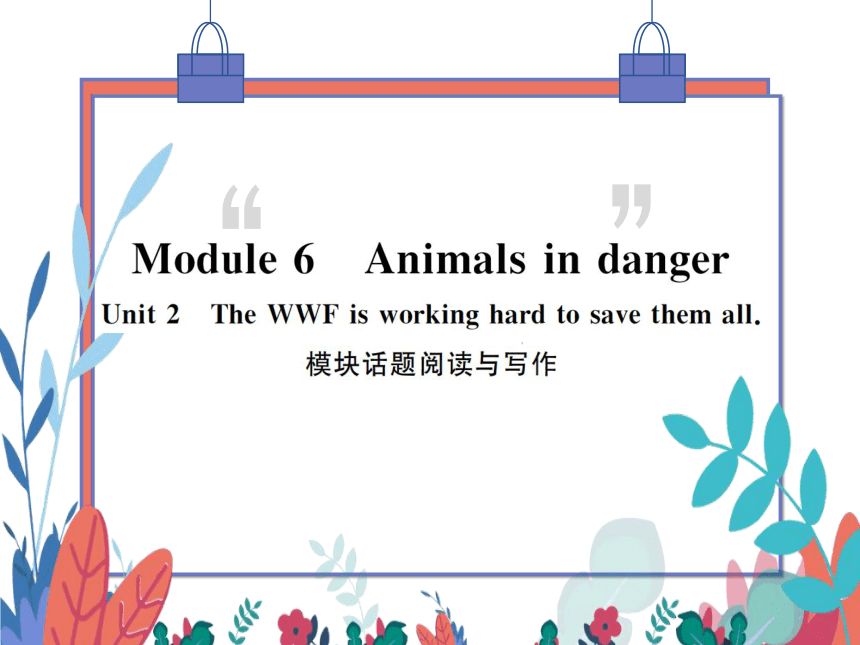 【外研版】八上 Module6 Unit2 The WWF is working hard to save them all 模块话题阅读与写作 习题课件