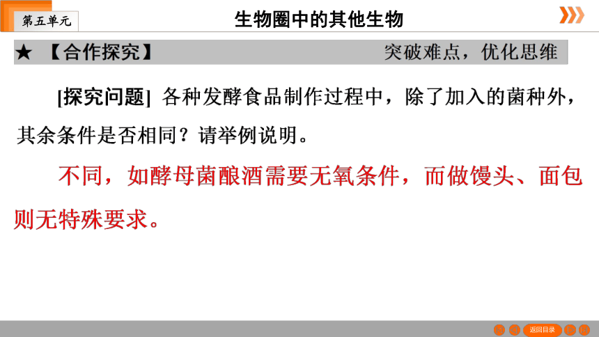 人教版生物八年级上册 第5单元 第4章 第5节　人类对细菌和真菌的利用 课件（共41张PPT）