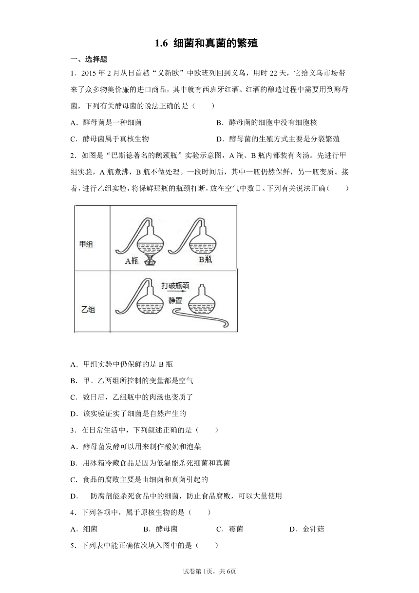 1.6 细菌和真菌的繁殖 同步练习（含解析）