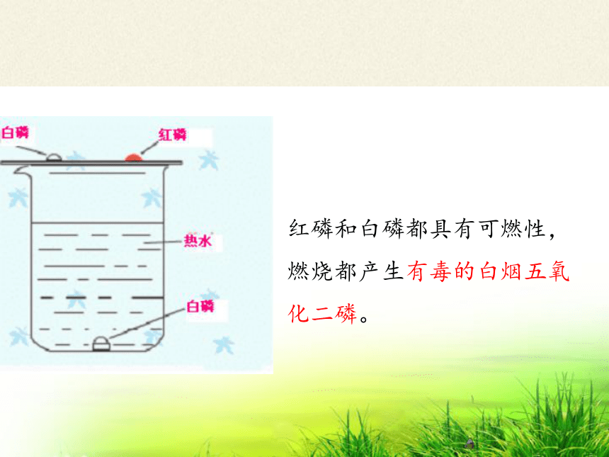 人教版（五四制）八年级全一册化学 第七单元  实验活动3 燃烧的条件 课件 (共15张PPT)