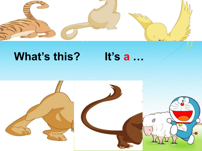 Unit3 Animal Lesson2 课件（19张PPT）