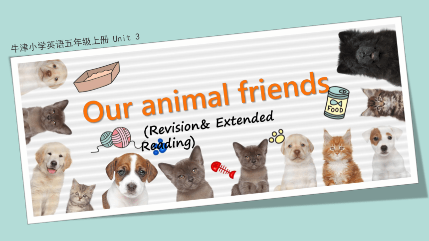 Unit 3 Our animal friends 复习 拓展阅读课件（共33张PPT）