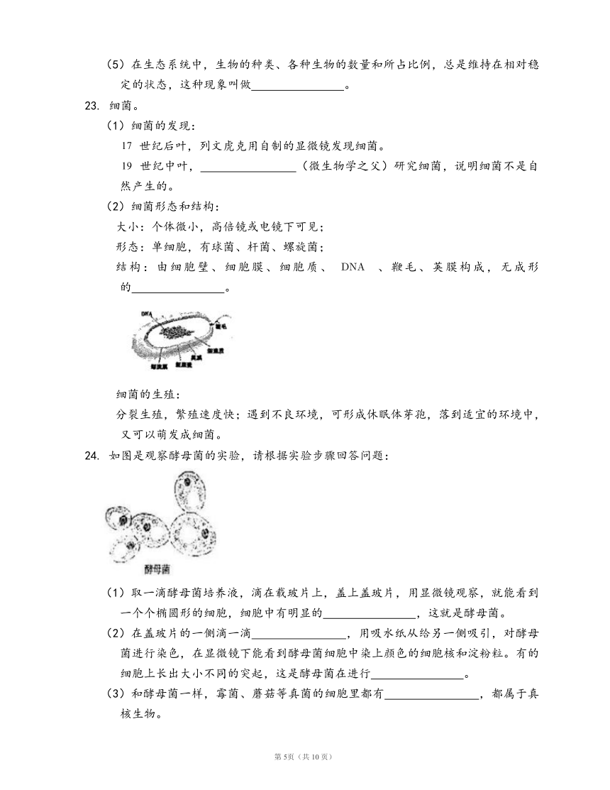 人教版八年级生物上册第五单元第四章 细菌和真菌练习（word版，含部分答案解析）