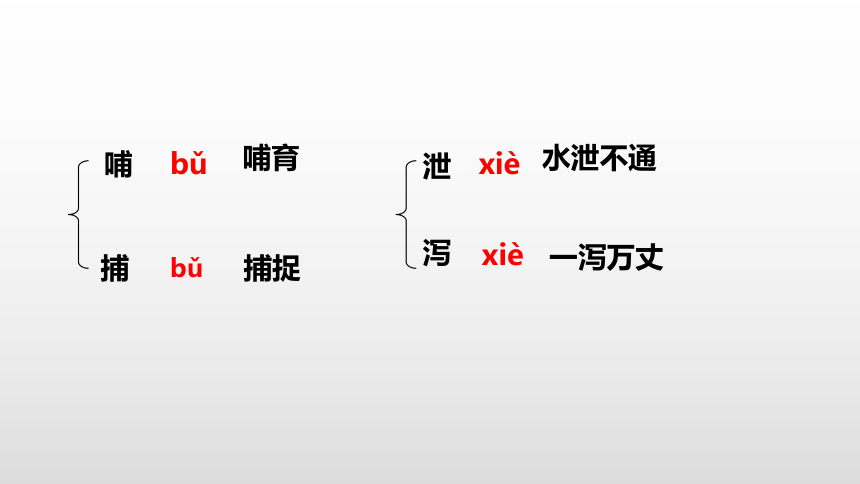 第五课《黄河颂》课件(共31张PPT)