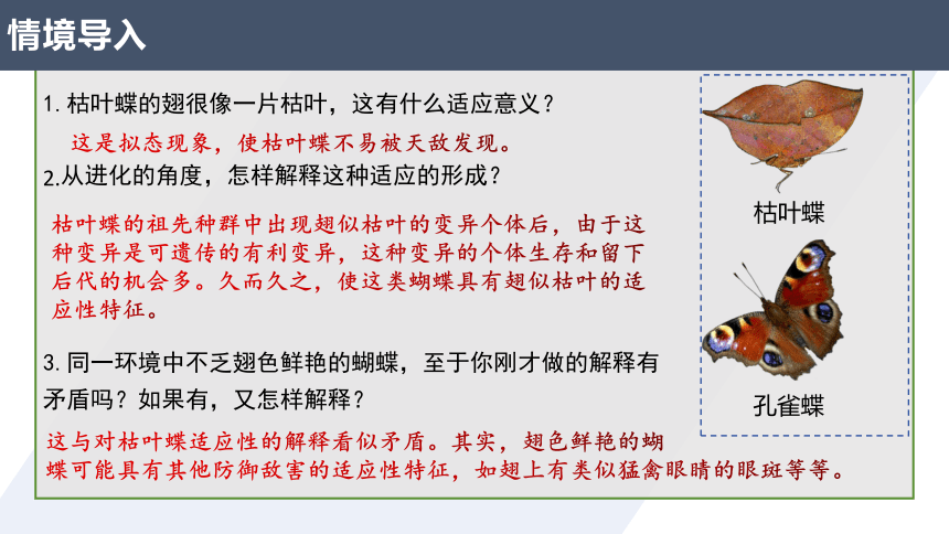 6.2自然选择与适应的形成(共33张PPT)——生物高二下学期课件（人教版2019必修二）