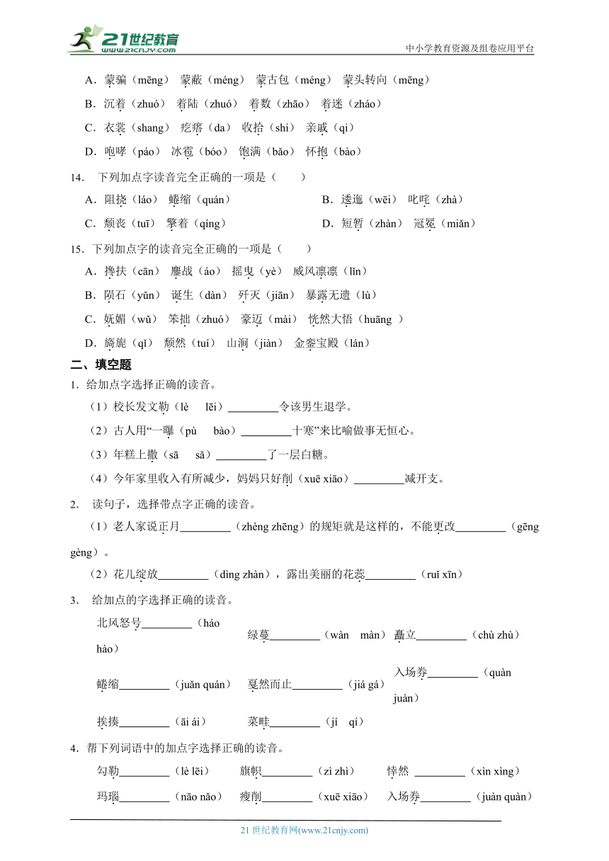 统编版语文六年级下册2024年小升初字音专项训练-（含答案）