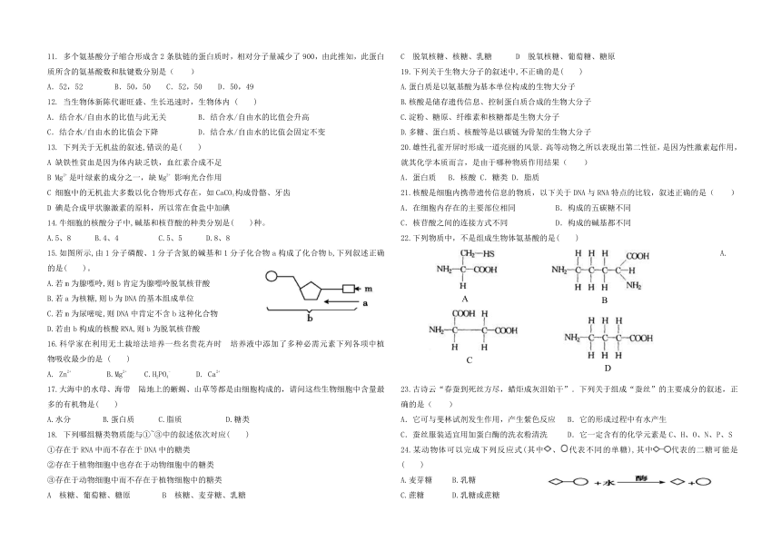 吉林省长春市九台区师范高中2020-2021学年高一下学期6月月考生物试卷 Word版含答案