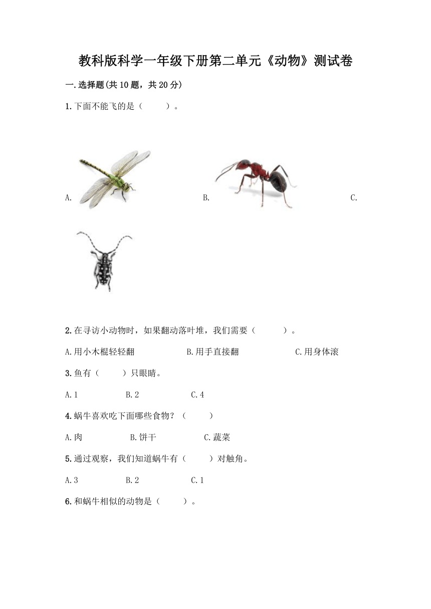 教科版（2017秋）科学 一年级下册 第二单元 动物 测试卷（含答案）