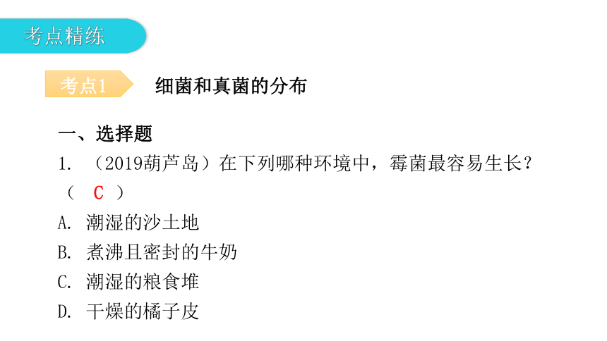 人教版生物八年级上册 第五单元 第四章 细菌和真菌章末总结课件（共39张PPT）