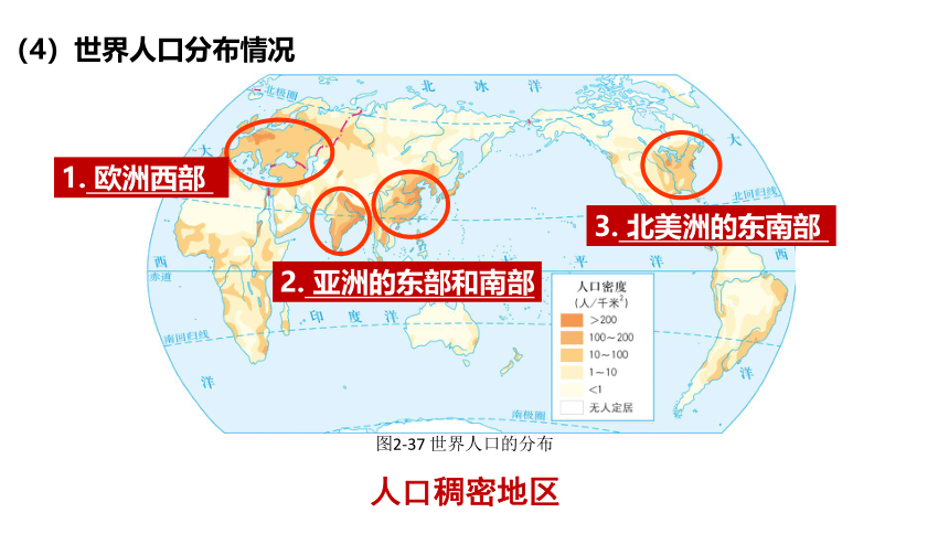 2.3.1 人口与人种 课件 (共19张PPT)