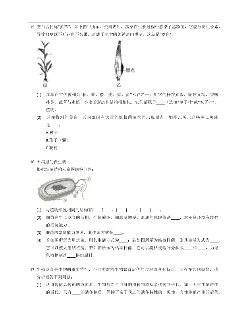 北京版八年级下13.5真菌练习（含答案）