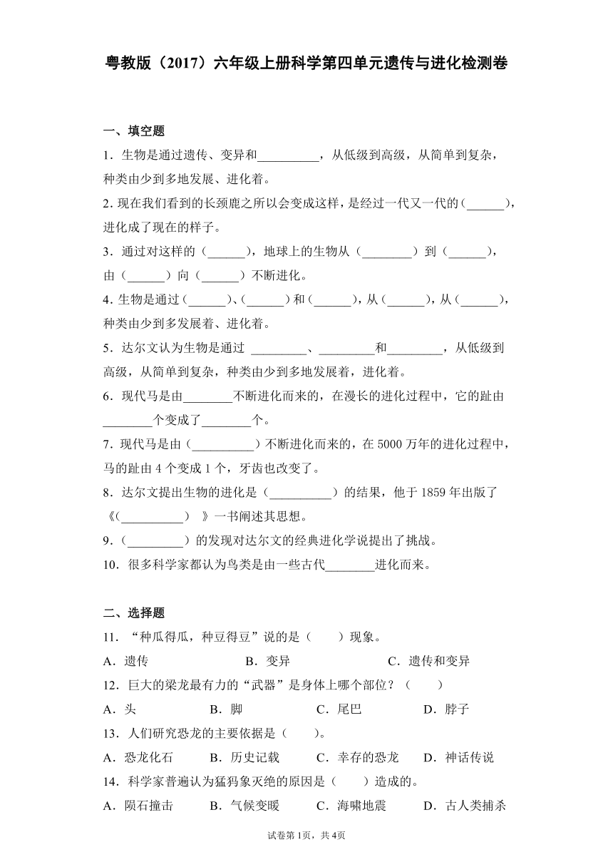 粤教版（2017）六年级上册科学第四单元遗传与进化检测卷（含答案）