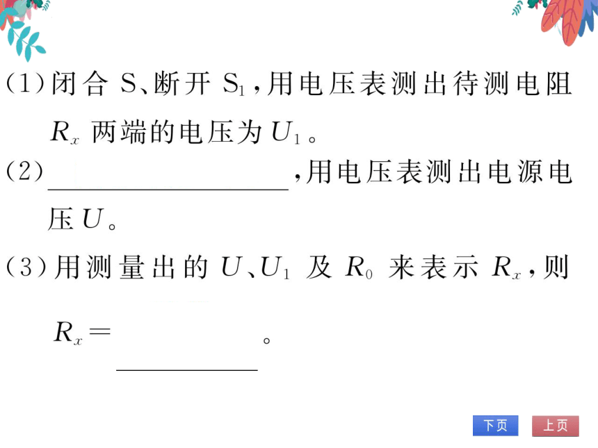 【人教版】物理九年级全册 第17章 专题十 多种方法测量电阻  习题课件