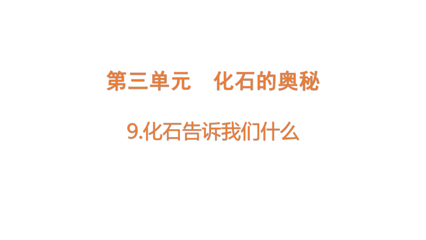 苏教版（2017秋） 六年级上册3.9 化石告诉我们什么 课件(共12张PPT)