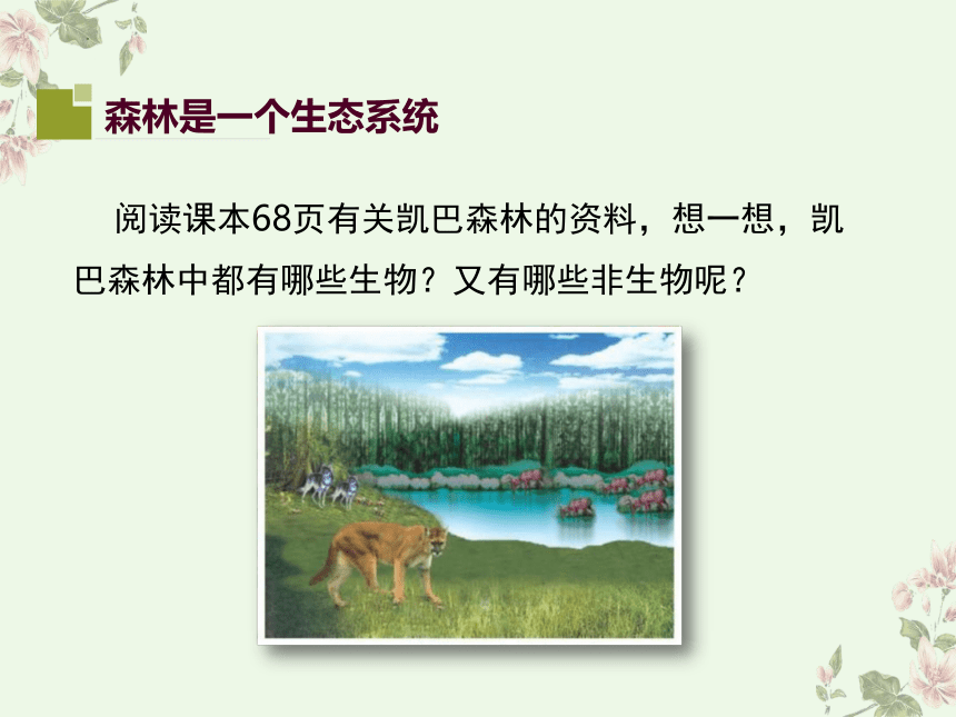 8.23.2  生态系统概述  课件(共25张PPT)2022-2023学年北师大版生物八年级下册