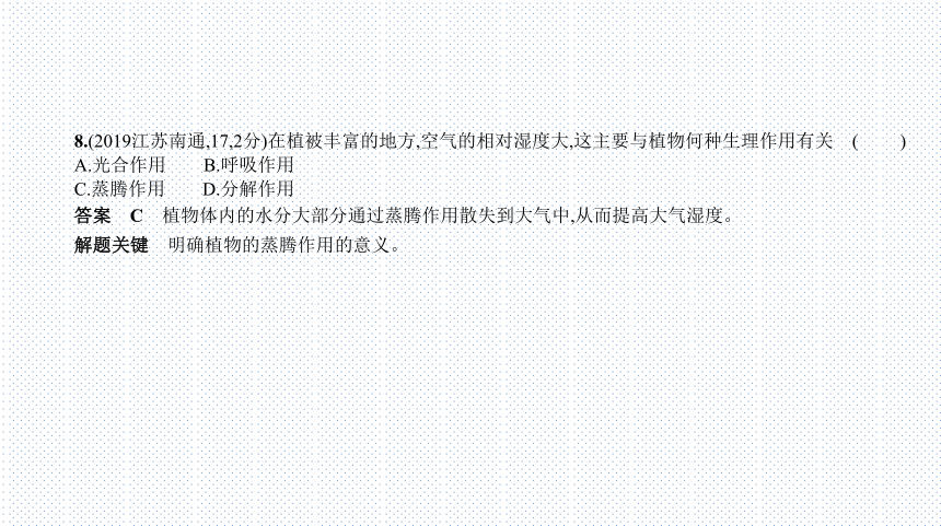 2023年中考生物复习专题★★　绿色植物的作用课件(共109张PPT)