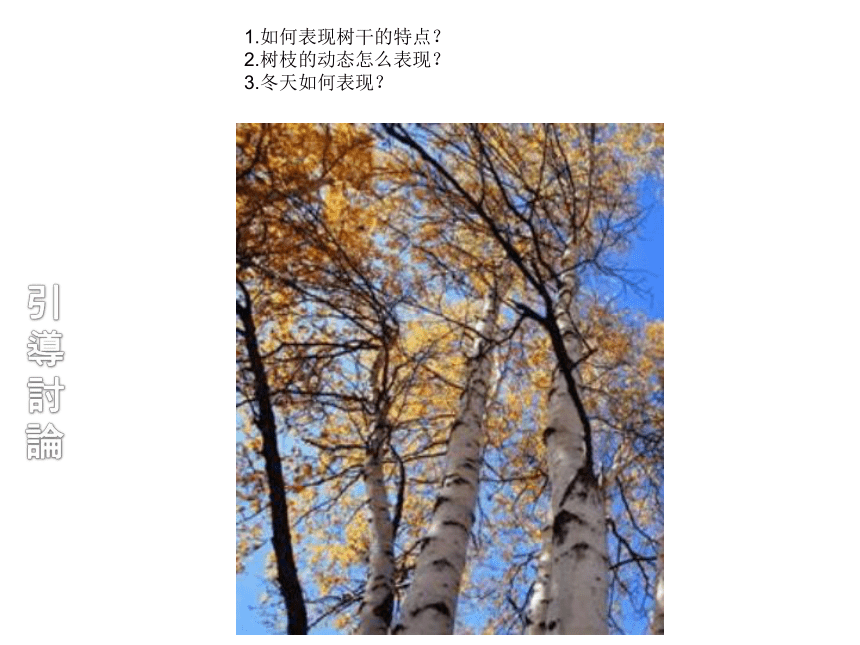 通用版 三年级下册美术 课外拓展 7.白桦树 课件（ 20张PPT）