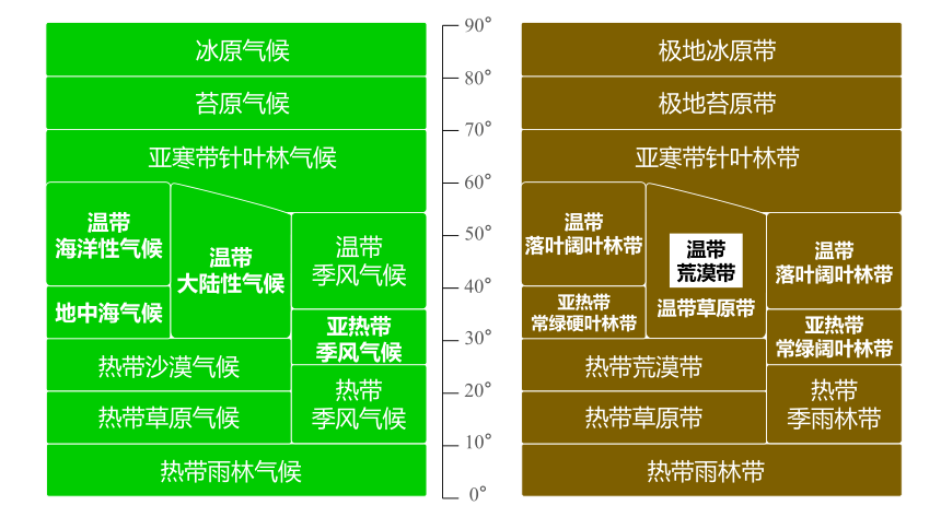 5.1植被（共36张ppt）