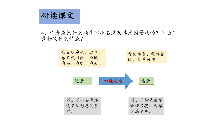 部编版语文八下第三单元2020—2021学年第10课《小石潭记》课件（共37张PPT）