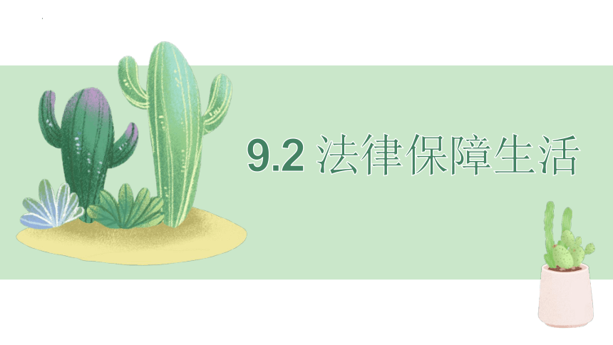 9.2 法律保障生活 课件(共19张PPT)- 2023-2024学年统编版道德与法治七年级下册