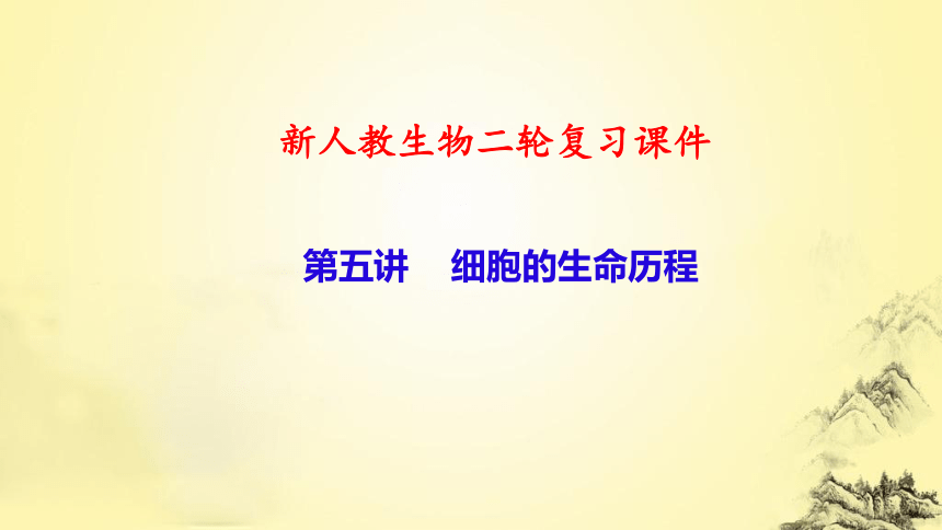 新人教生物二轮复习课件5 细胞的生命历程(课件共73张PPT)