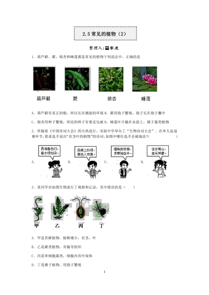 浙教版科学2022-2023学年上学期七年级“一课一练”：2.5常见的植物（2）【word，含解析】