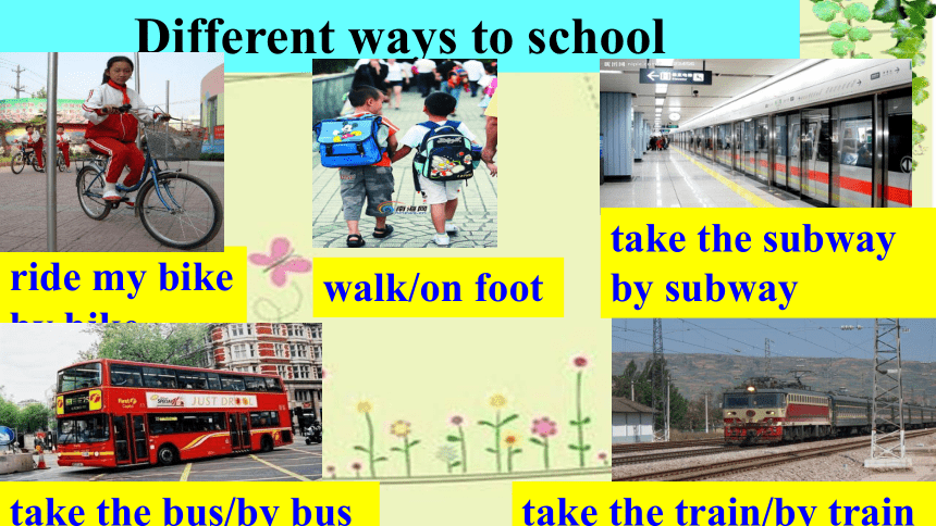 Unit 3 How do you get to school? Section B 2a-2c课件（25张PPT）