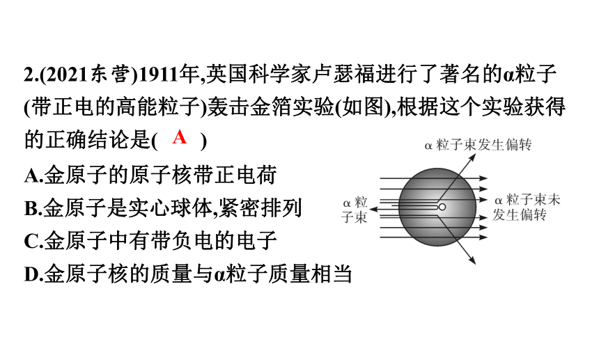 2022年中考九年级化学第一轮专题复习突破13.物质的构成与组成(共52张PPT)