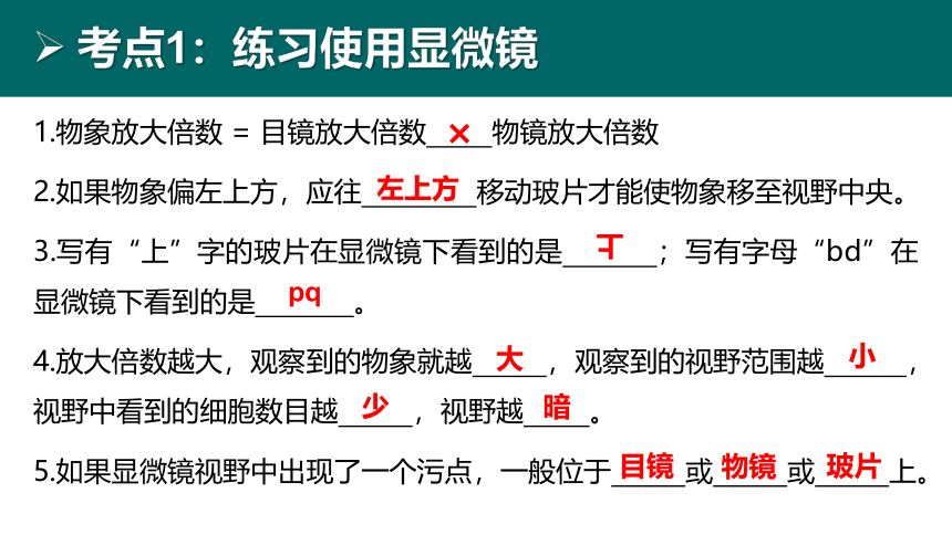 初中生物 会考复习 第二单元 生物体的结构层次（27张PPT）