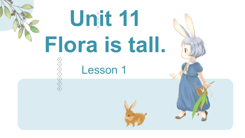 Unit 11 Flora is tall. 课件(共41张PPT)