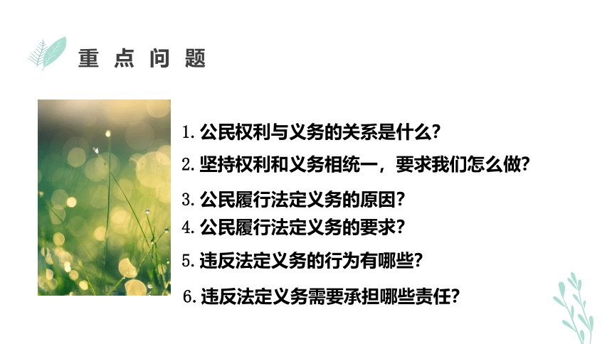 （核心素养目标）4.2依法履行义务 课件（共24张PPT）