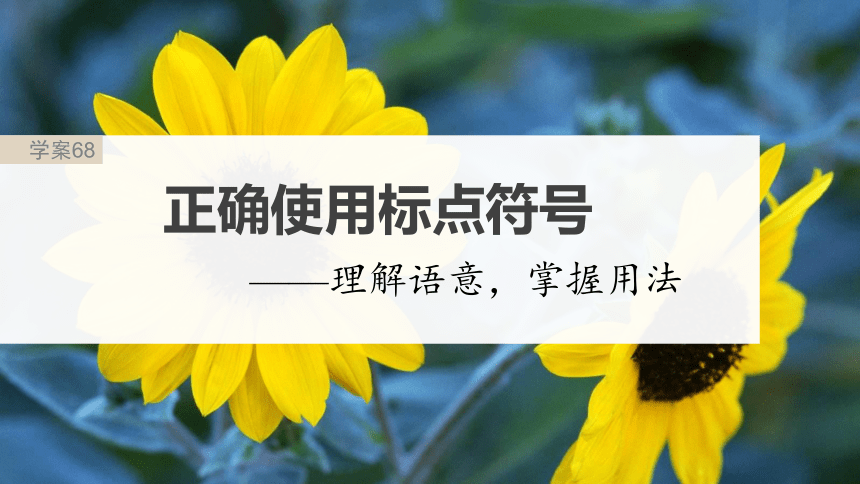 2024届高考一轮复习语文学案课件(共116张PPT)（新高考人教版）板块八　语言文字运用?语言基础68　正确使用标点符号——理解语意，掌握用法