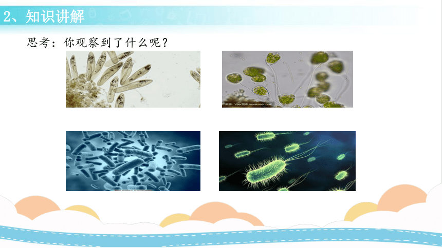 冀人版（2017秋）五年级下册  第四单元 13 看不见的微生物  课件  (共29张PPT)