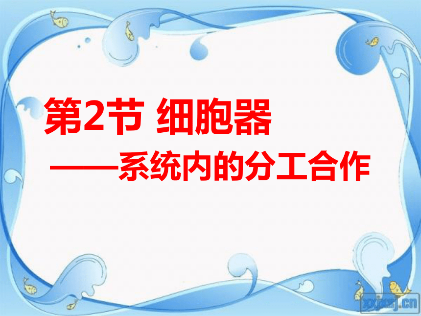 3.2细胞器--系统内的分工合作课件(共33张PPT)2020-2021学年高一上学期生物人教版必修1