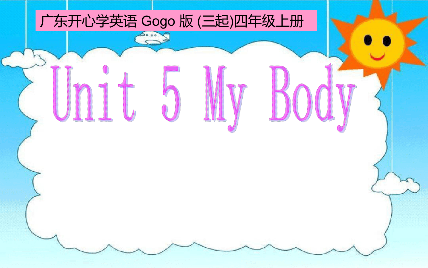 Unit 5 My Body   课件(共29张PPT)