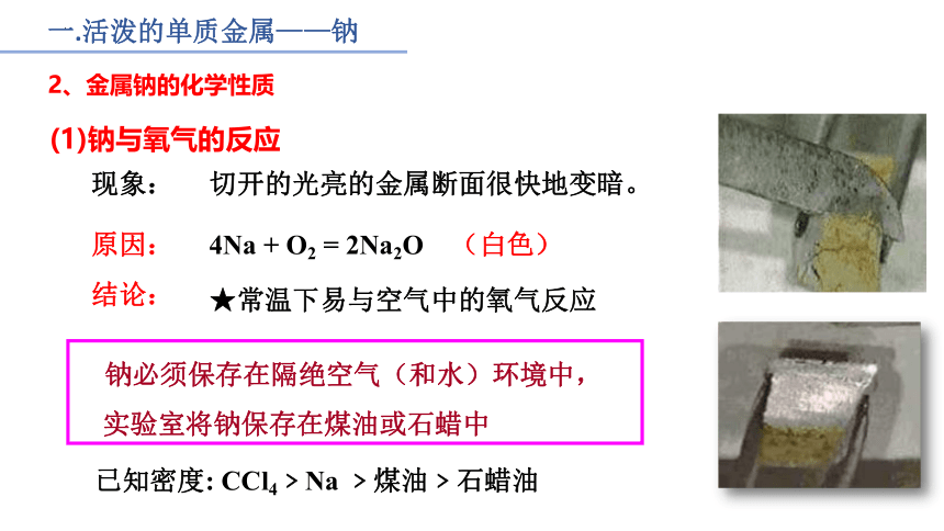 2.1钠及其化合物第一课时（共22张PPT）2022-2023学年高一上学期化学人教版（2019）必修第一册