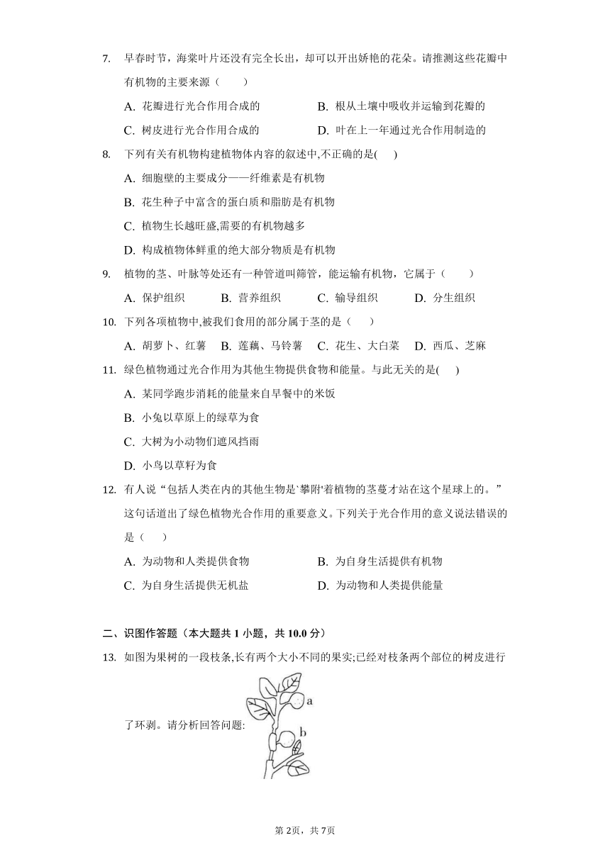 2022-2023学年人教版生物七年级上册 3.4绿色植物是生物圈中有机物的制造者同步练习(word版含解析）