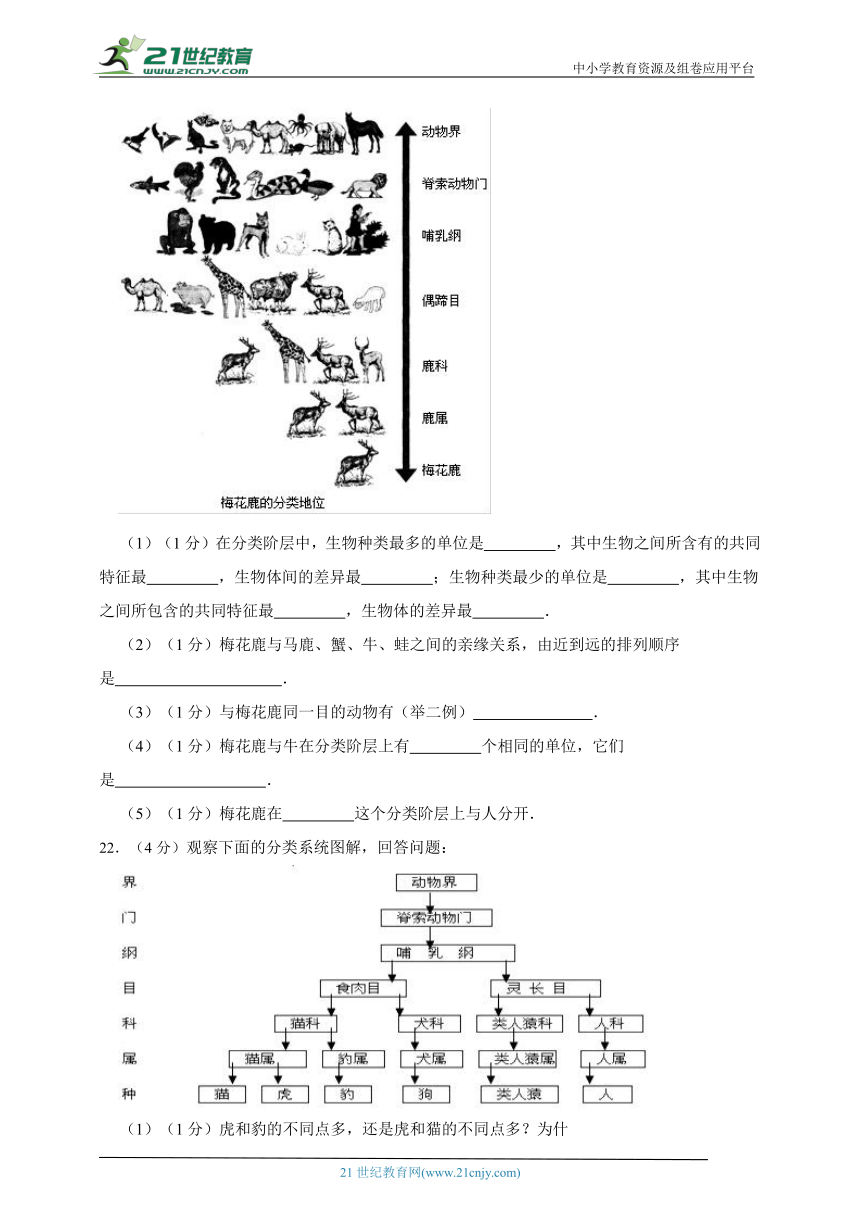 人教版生物八年级下册第六单元生物的多样性及其保护 检测题（含解析）