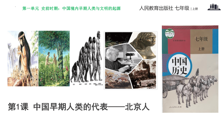 第1课 中国境内早期人类的代表——北京人 课件