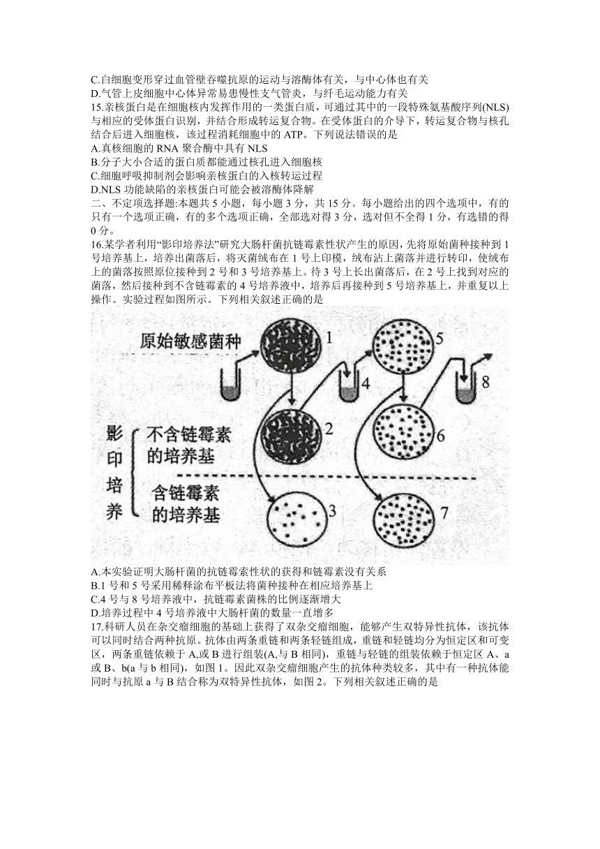 山东省济宁市邹城市2021-2022学年高二下学期期中生物试题（word版含答案）