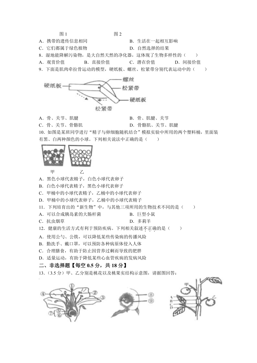 2023年辽宁省沈阳市皇姑区中考三模生物试题（含答案）