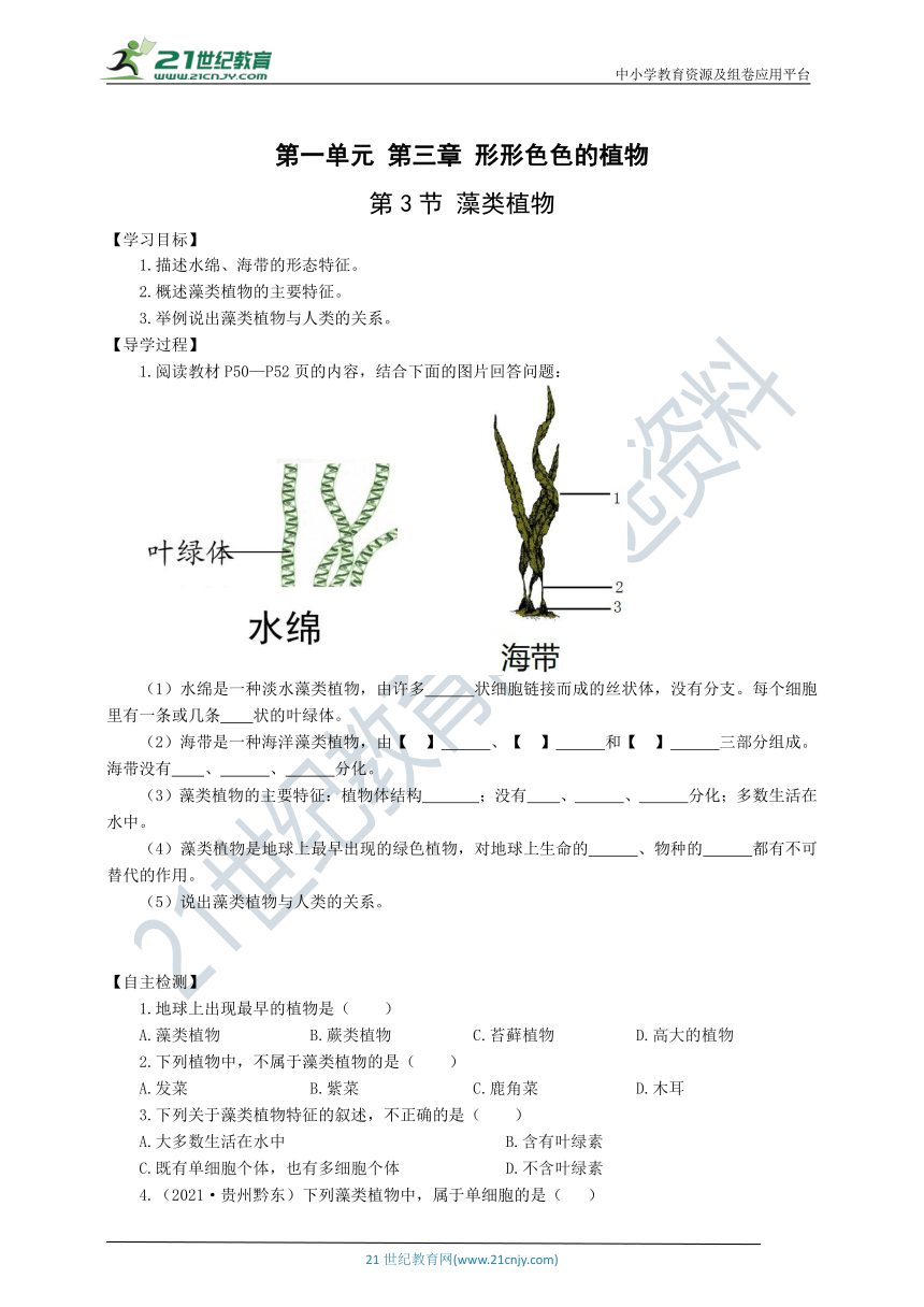 1.3.3藻类植物学案（含答案）