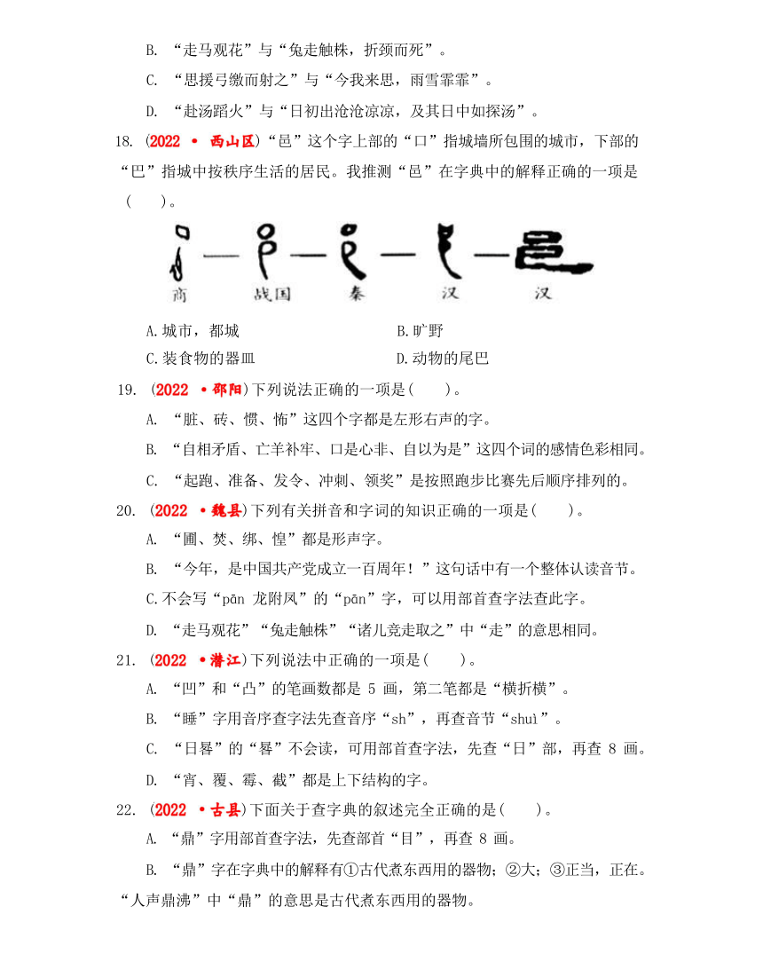 2023年小升初语文 字义和查字典综合训练（有解析）