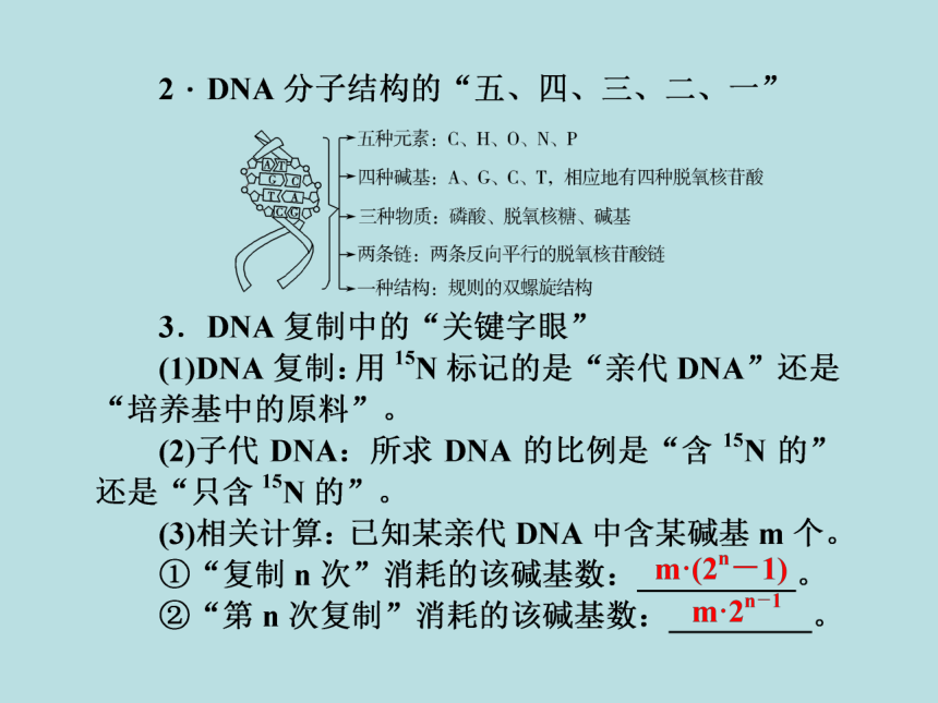 2021届高考二轮复习课件生物专题五遗传的分子基础（85张ppt）