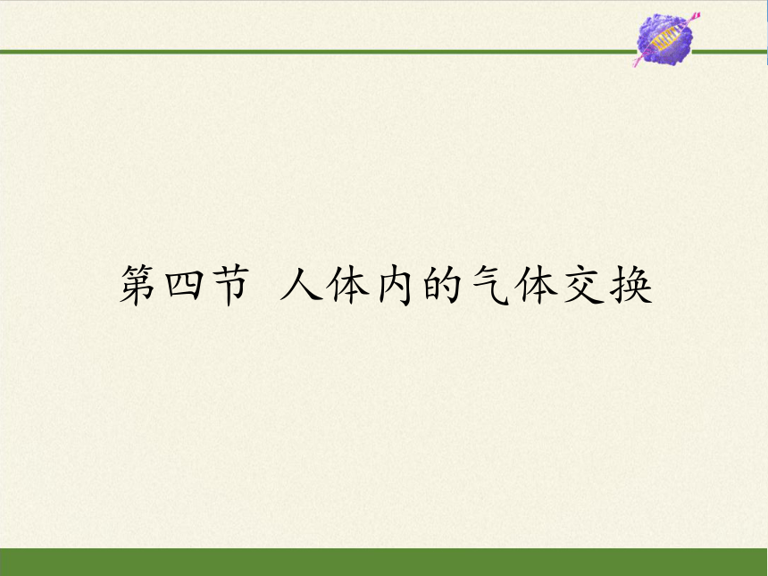 苏教版生物七年级下册 第十章 第四节 人体内的气体交换课件(共13张PPT)