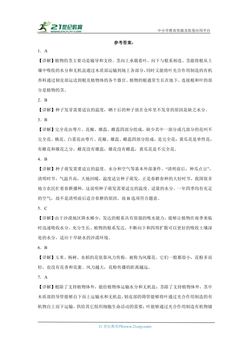 苏教版三年级下册科学第一单元植物的一生综合训练（含答案）