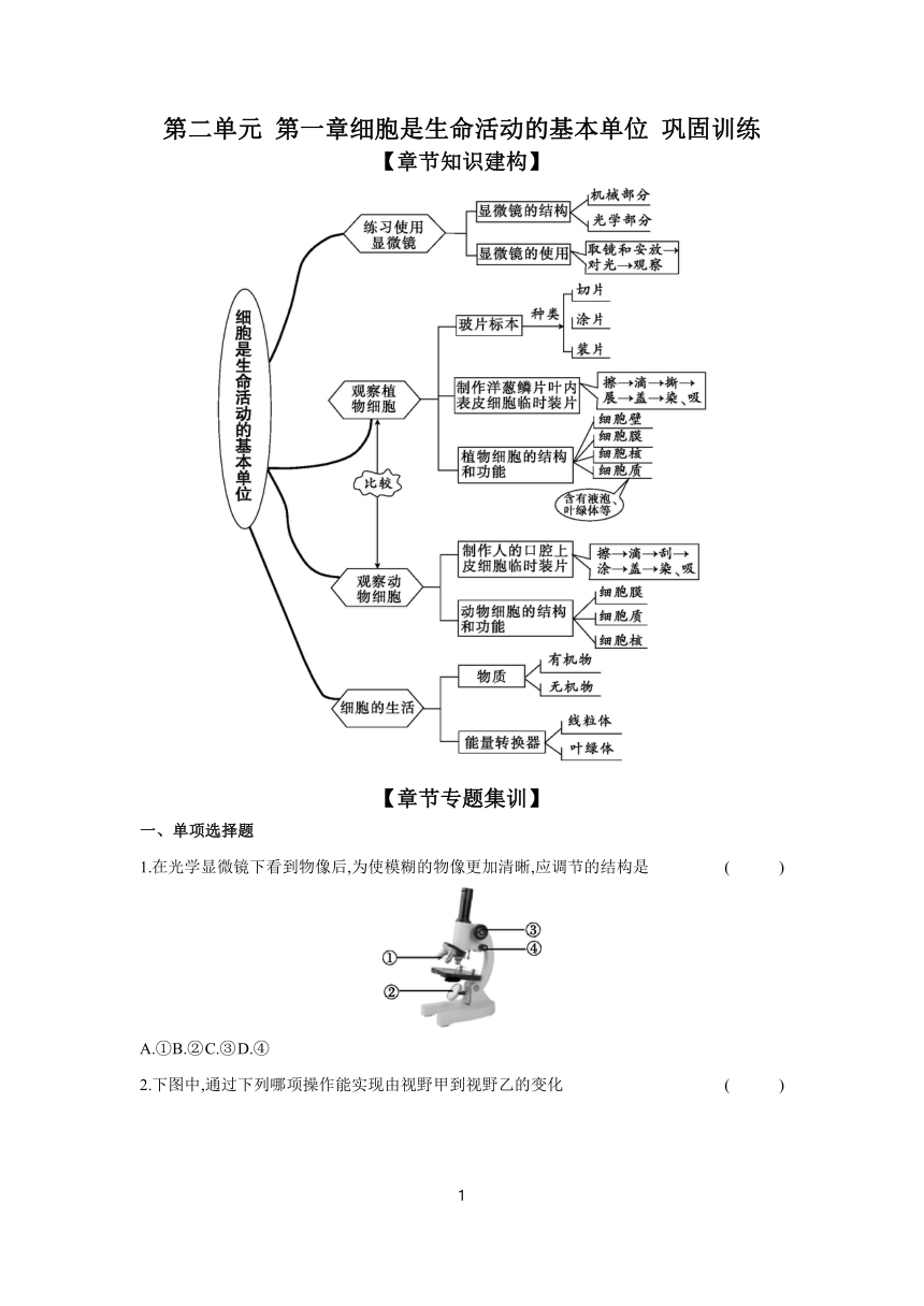 第二单元 第一章细胞是生命活动的基本单位 巩固训练课时提高练（含答案）2023-2024学年生物人教版七年级上册