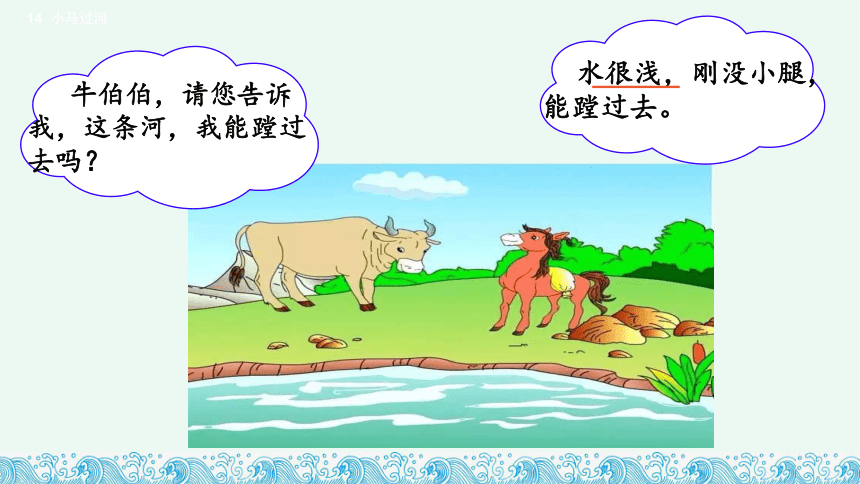 14小马过河 课件 (共24张PPT)