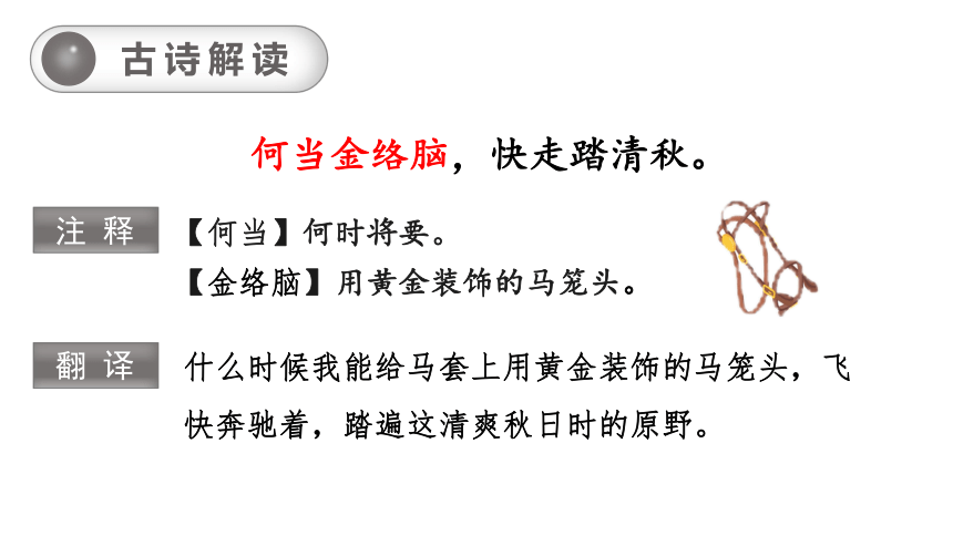 统编版六年级下册10.古诗三首   课件（46张PPT)